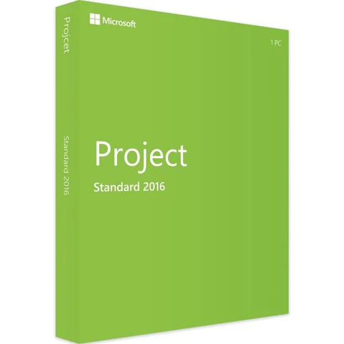 Project 2016 Standard