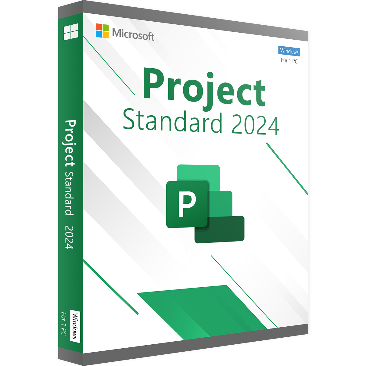 Project 2024 Standard Project 2024 Standard