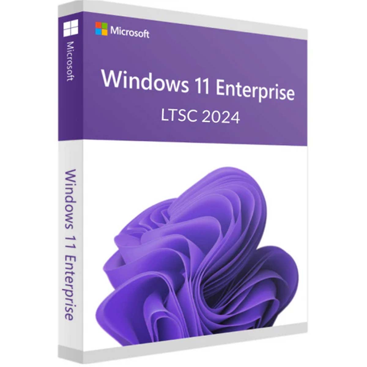 Windows 11 Enterprise LTSC 2024 Windows 11 Enterprise LTSC 2024