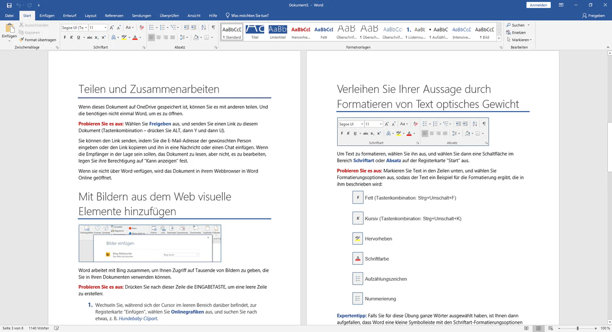 Microsoft Word 2019