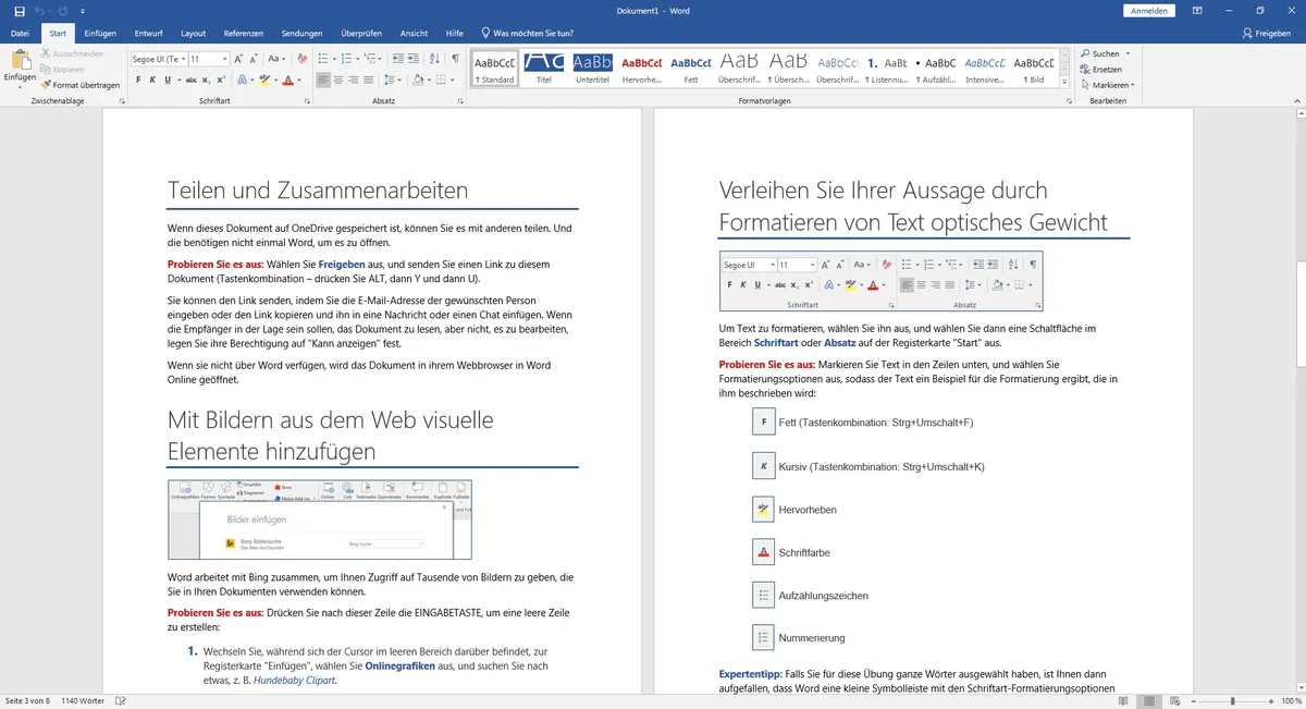 Microsoft Word 2019
